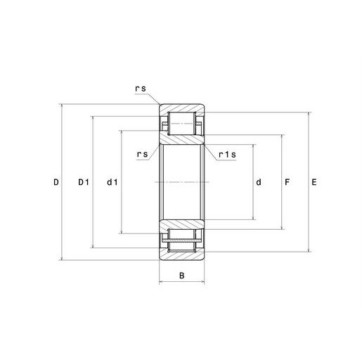 NTN-SNR_NJxxx_draw.0