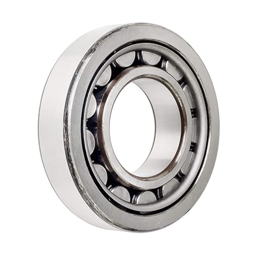 bearing NJ219ECM