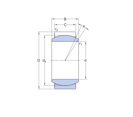 SKF_GE_12