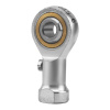 FLURO_GILS-6_IMG1